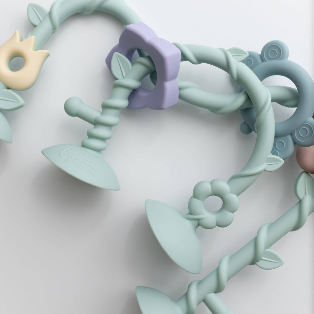 Wildflower Suction Toy