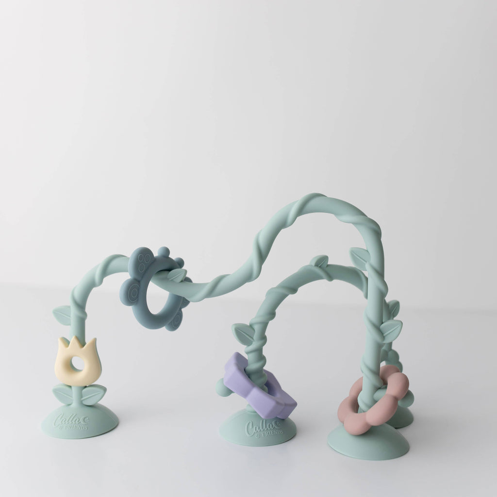 Wildflower Suction Toy